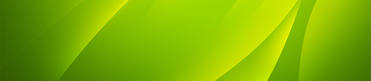 Acer Acer